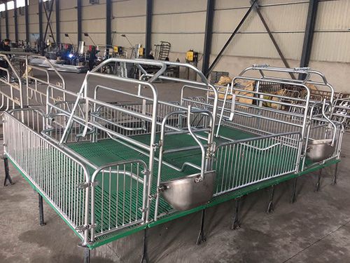泊头市猪哈哈养殖设备销售自动化料线自动化猪场设计建造母猪