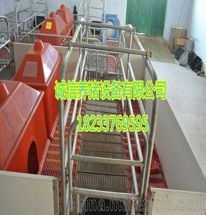 沧州高端猪场设备批发厂家 诚信公司单体母猪产床好质量