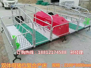 【巫溪猪用产仔栏厂家出售母猪分娩栏价格养猪设备供应商】- 
