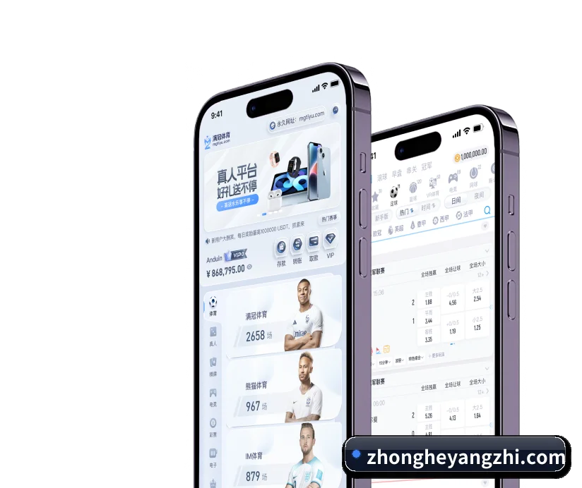 五大结构化功能入口,打造高效率的体育数据检索通道