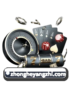 专业数字体育服务，为您倾心定制